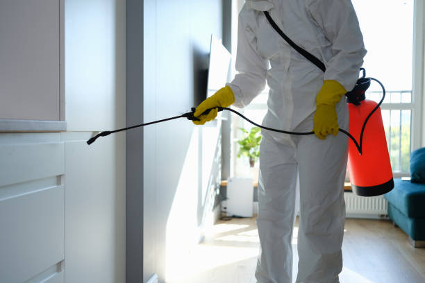 Professional Mold Remediation in Tolar, TX